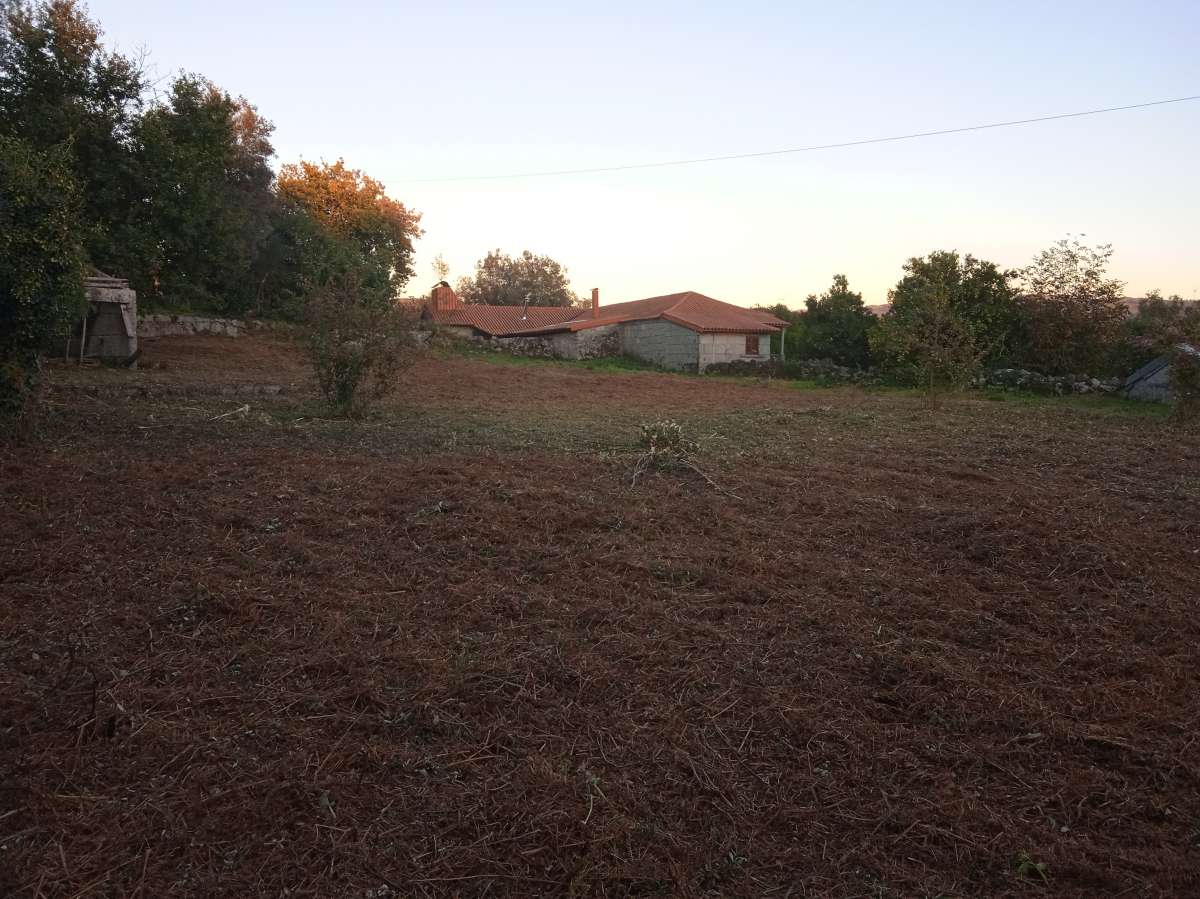 Limpeza de terrenos - Vila Nova de Famalicão - Remoção de Tronco de Árvore
