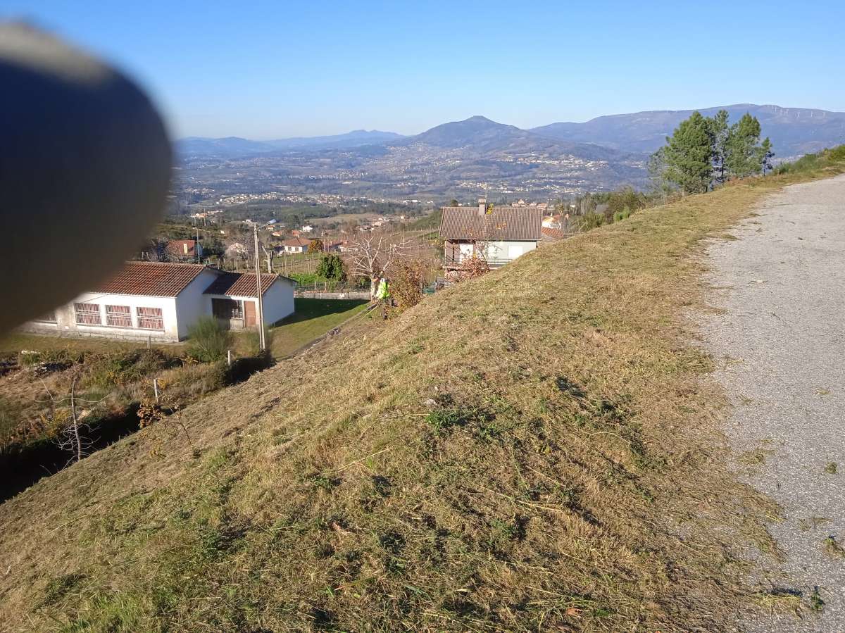 Limpeza de terrenos - Vila Nova de Famalicão - Shrub Removal