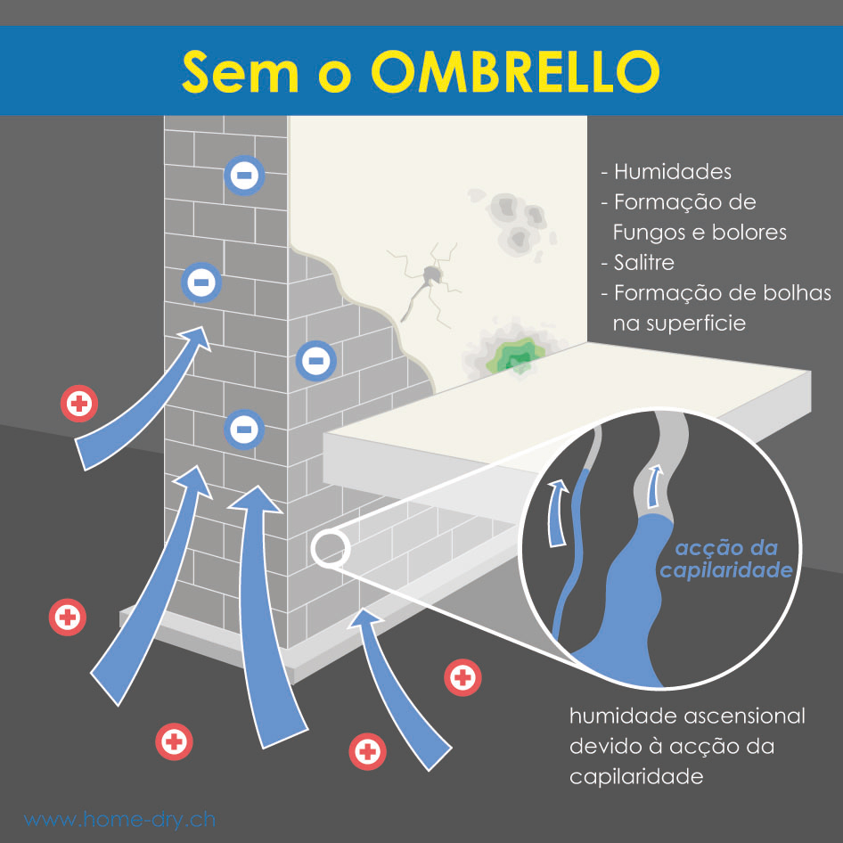 Hugo Matos - Coimbra - Home Waterproofing