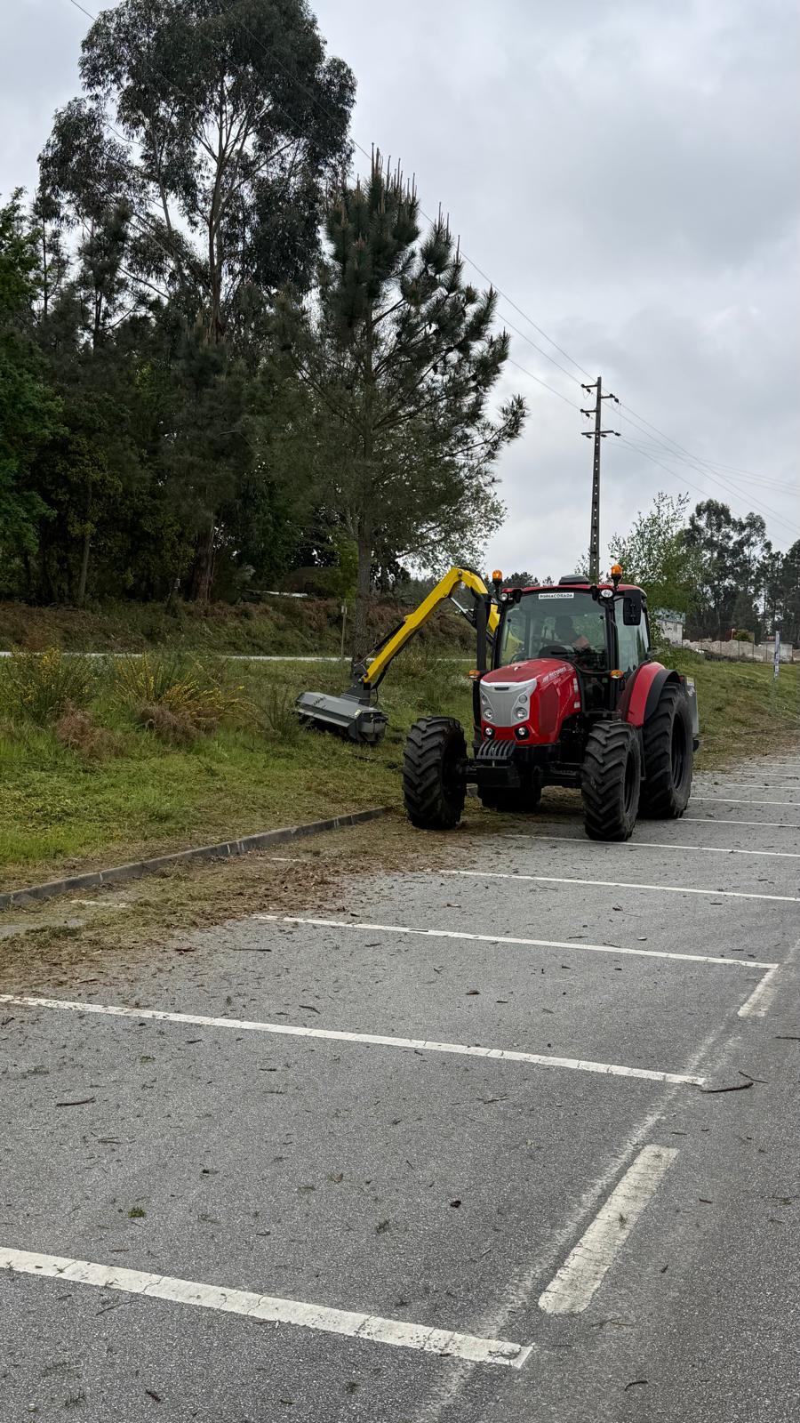 Pinhacorada- Unipessoal, Lda - Mortágua - Lawn Mowing and Trimming