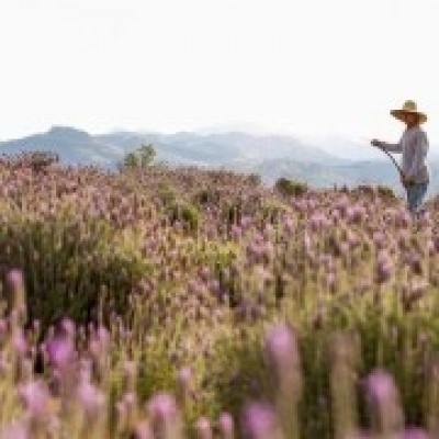 Brenda Esteves - Ílhavo - Fotografía nupcial
