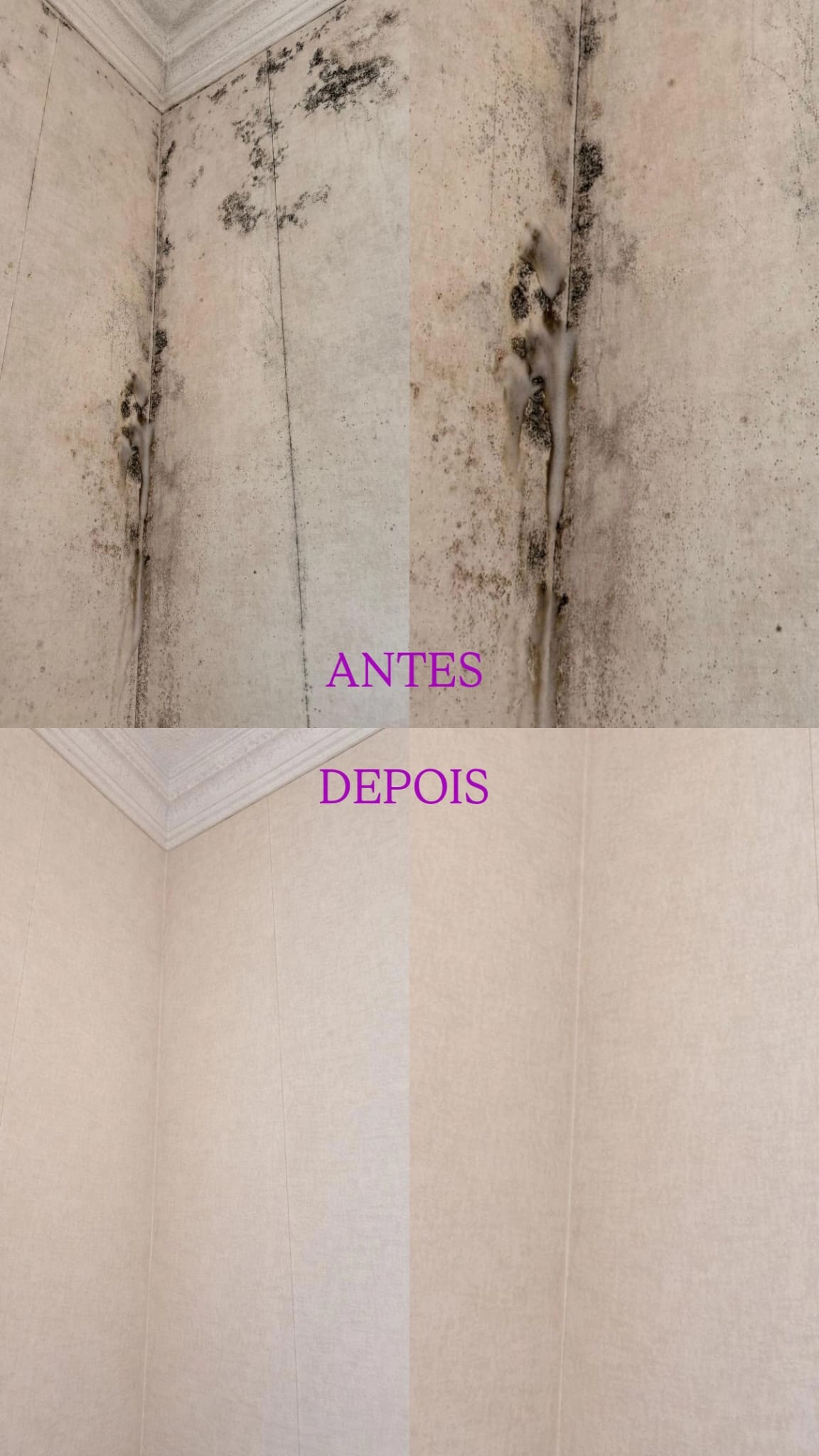 Luxury Clean 🫧🧼 - Alcochete - Limpeza de Janelas