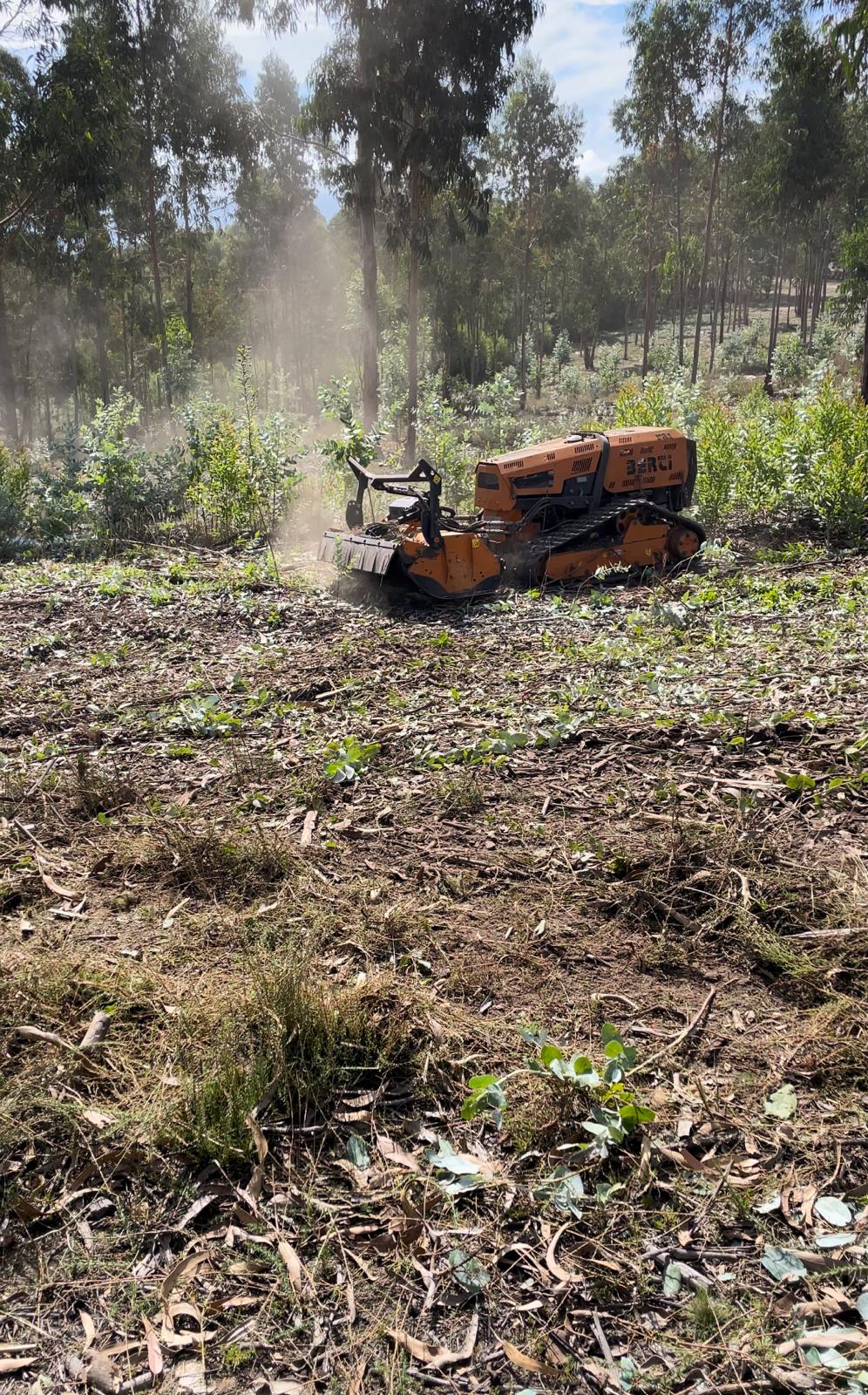 Pinhacorada- Unipessoal, Lda - Mortágua - Sod Installation