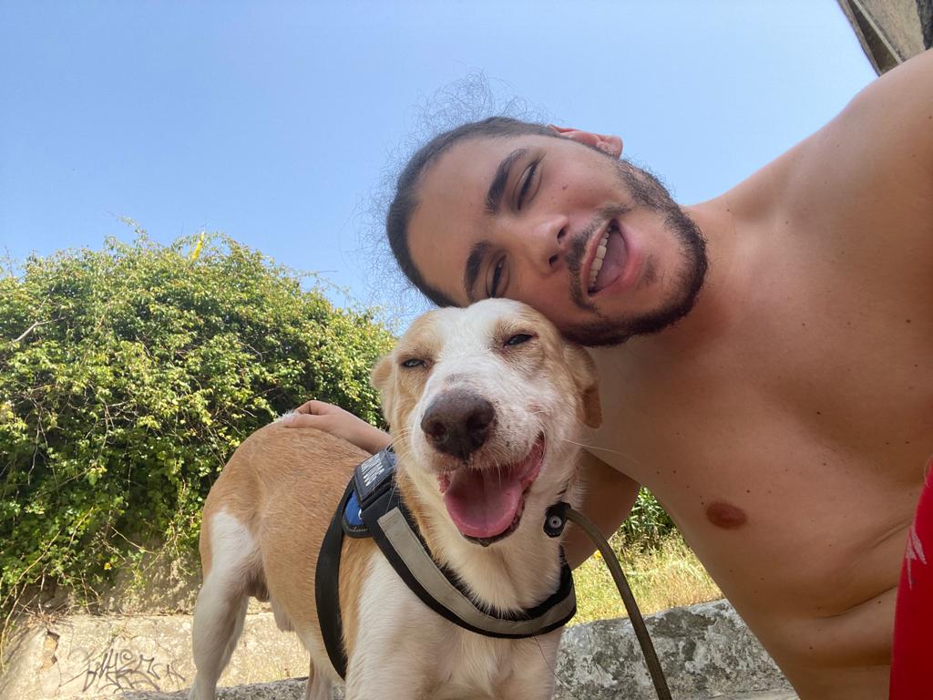 João Borges - Sintra - Dog Walking