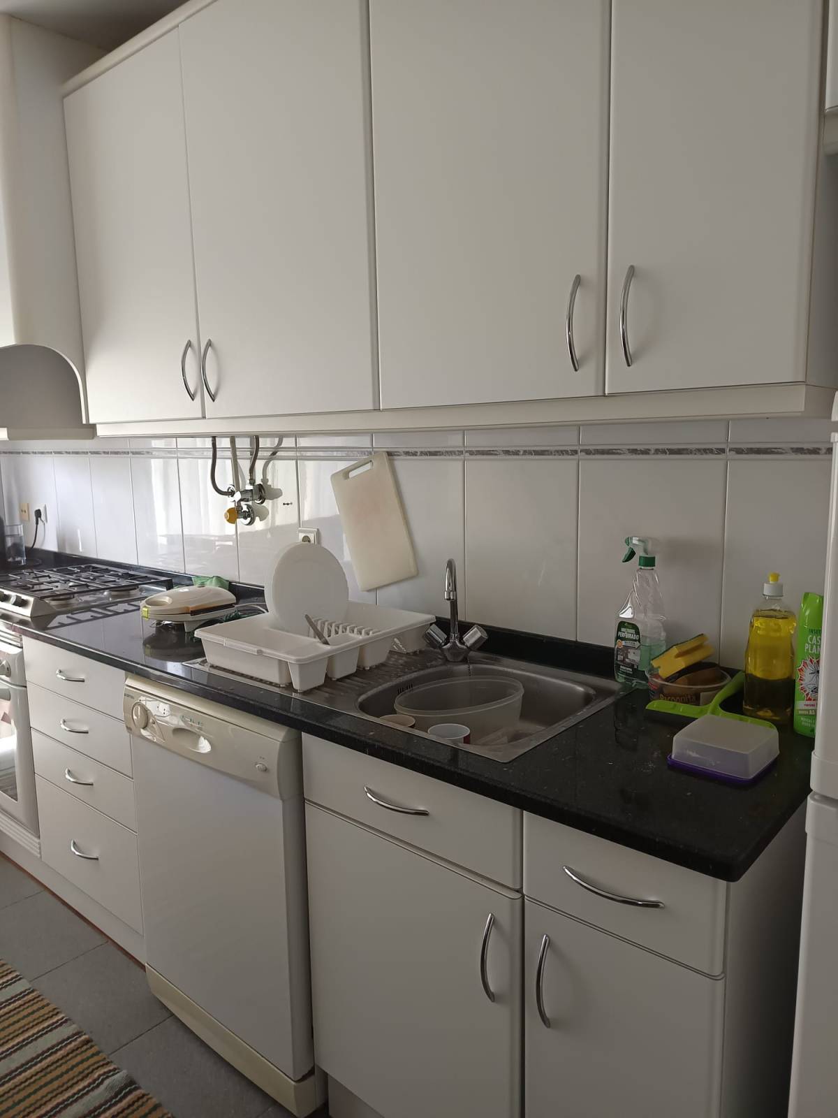 Valentty limpezas - Sintra - Property Cleanup