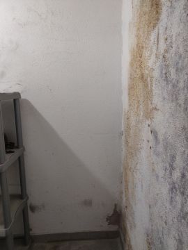 Pintura