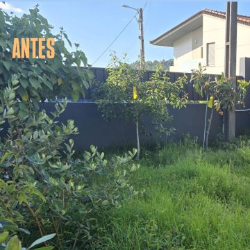 ZT jardinagem - Vila Verde - Élagage et entretien des arbres