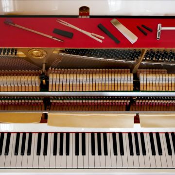 Afinador de pianos / Piano tuner Fernando Leao - Portimão - Reparação de Instrumentos Musicais