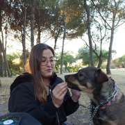 Marlene Oliveira - Barreiro - Creche para Cães