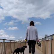 Marlene Oliveira - Barreiro - Dog Walking