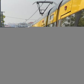 Cruz - Lousada - Restauro, Tratamento e Reparação de Couro