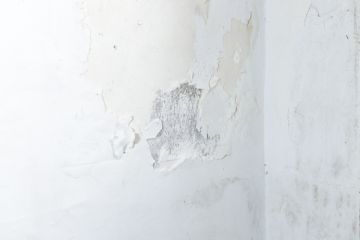 Especialista de Obras