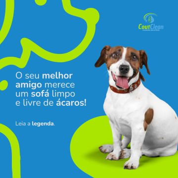 CoutClean.pt - Loures - Limpieza de tapicerias y muebles