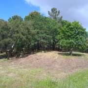 Limpeza de terrenos - Vila Nova de Famalicão - Artificial Turf Installation