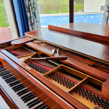 Afinador de pianos / Piano tuner Fernando Leao - Portimão - Reparação de Instrumentos Musicais