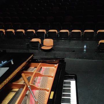 Afinador de pianos / Piano tuner Fernando Leao - Portimão - Reparação e Assist. Técnica de Equipamentos