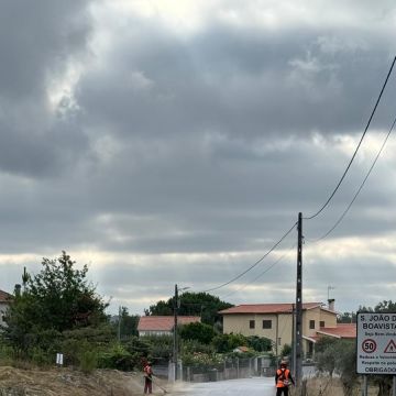 Pinhacorada- Unipessoal, Lda - Mortágua - Outdoor Landscaping