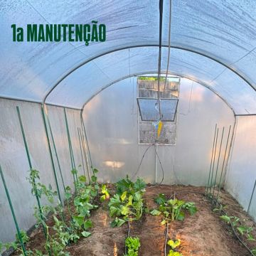 ZT jardinagem - Vila Verde - Construction de mur intérieur