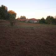 Limpeza de terrenos - Vila Nova de Famalicão - Tree Stump Grinding and Removal
