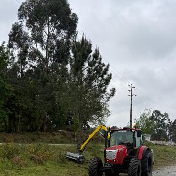 Pinhacorada- Unipessoal, Lda - Mortágua - Lawn Mowing and Trimming