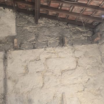Faz te 24horas - Viseu - Tree Stump Grinding and Removal