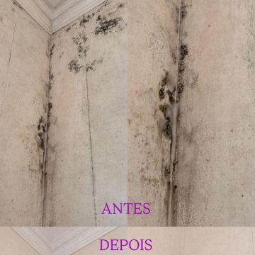 Luxury Clean 🫧🧼 - Alcochete - Limpeza de Janelas