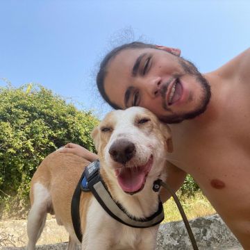 João Borges - Sintra - Dog Walking