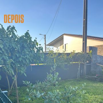 ZT jardinagem - Vila Verde - Enlèvement de souches d’arbres