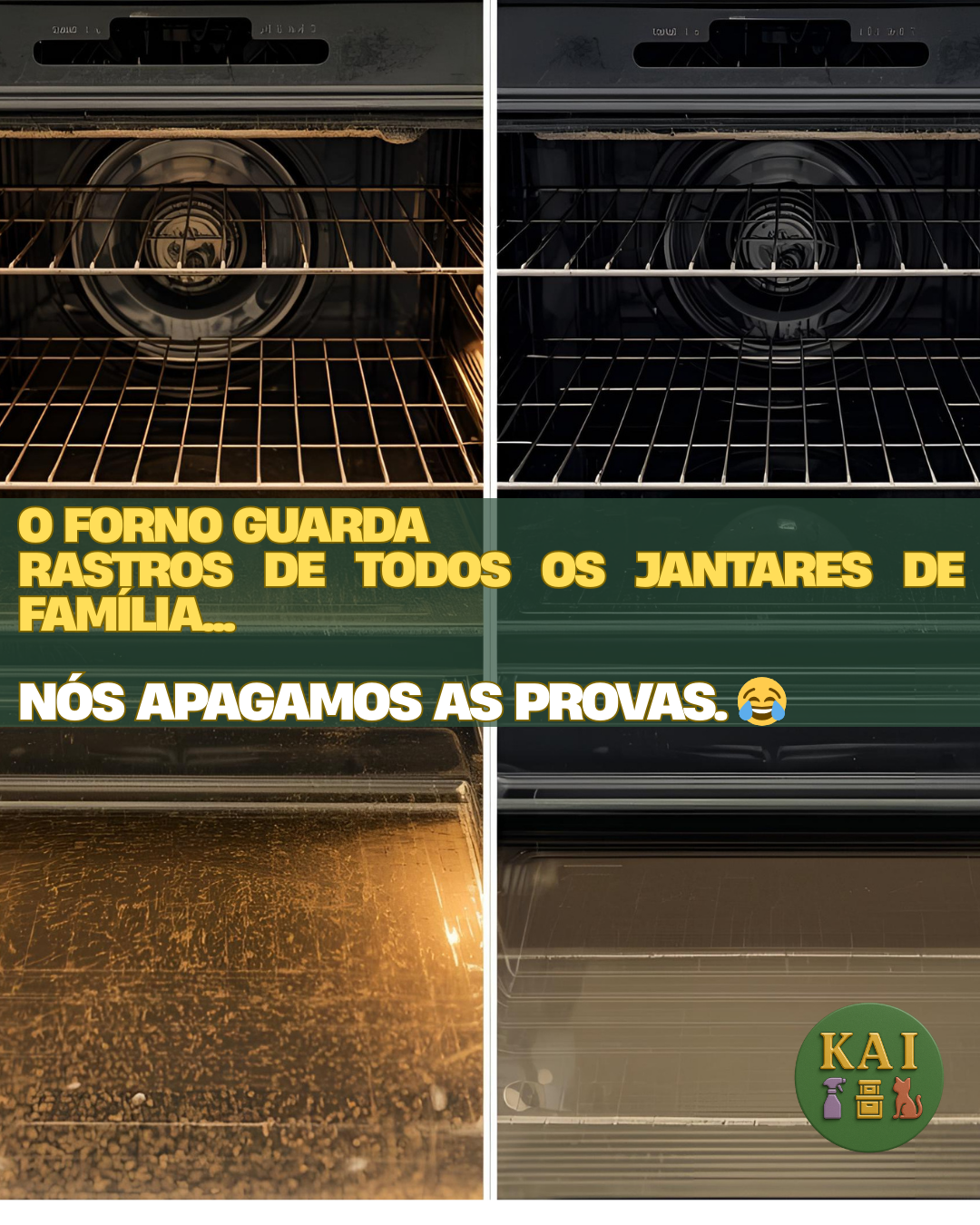 KAI - limpezas • organização de ambientes • pet sitting - Torres Novas - Grundstücksreinigung