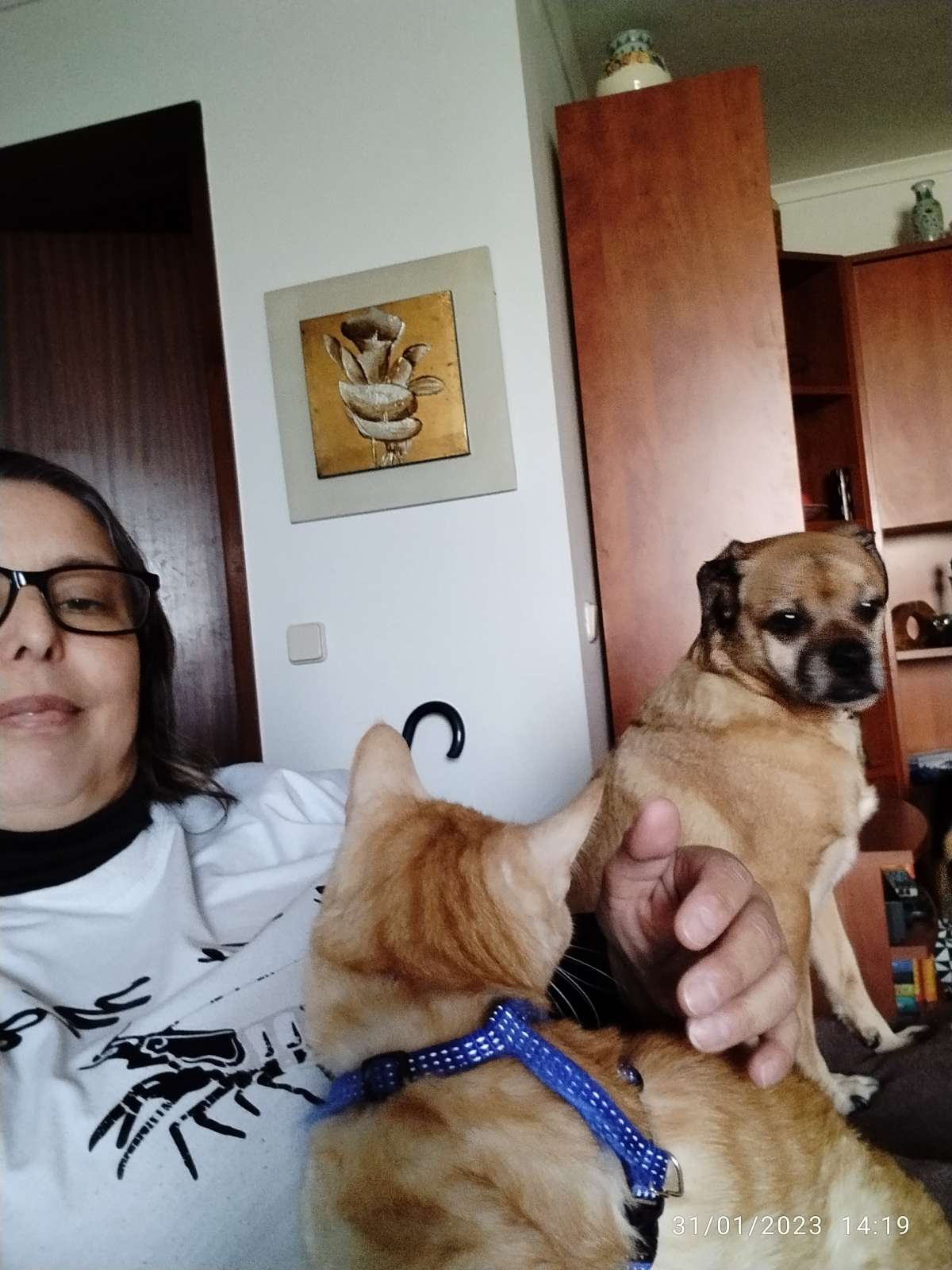 All for pets Tudo pelos donos - Lisboa - Hotel e Creche para Animais