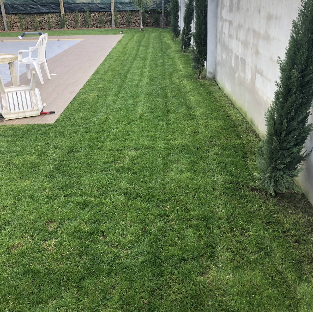 Filipe jardinagem - Trofa - Gartenarbeiten