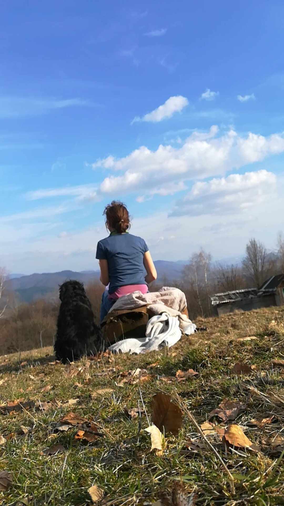 serviços de cuidados a crianças, animais, casa - Aveiro - Limpieza para mudanzas