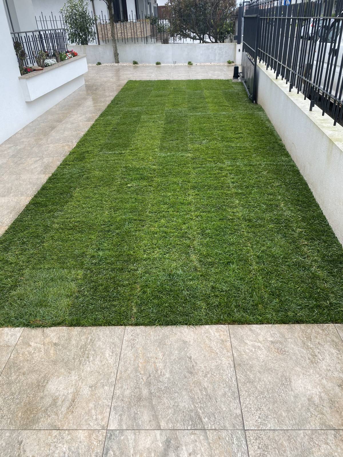 Filipe jardinagem - Trofa - Baumpflanzung