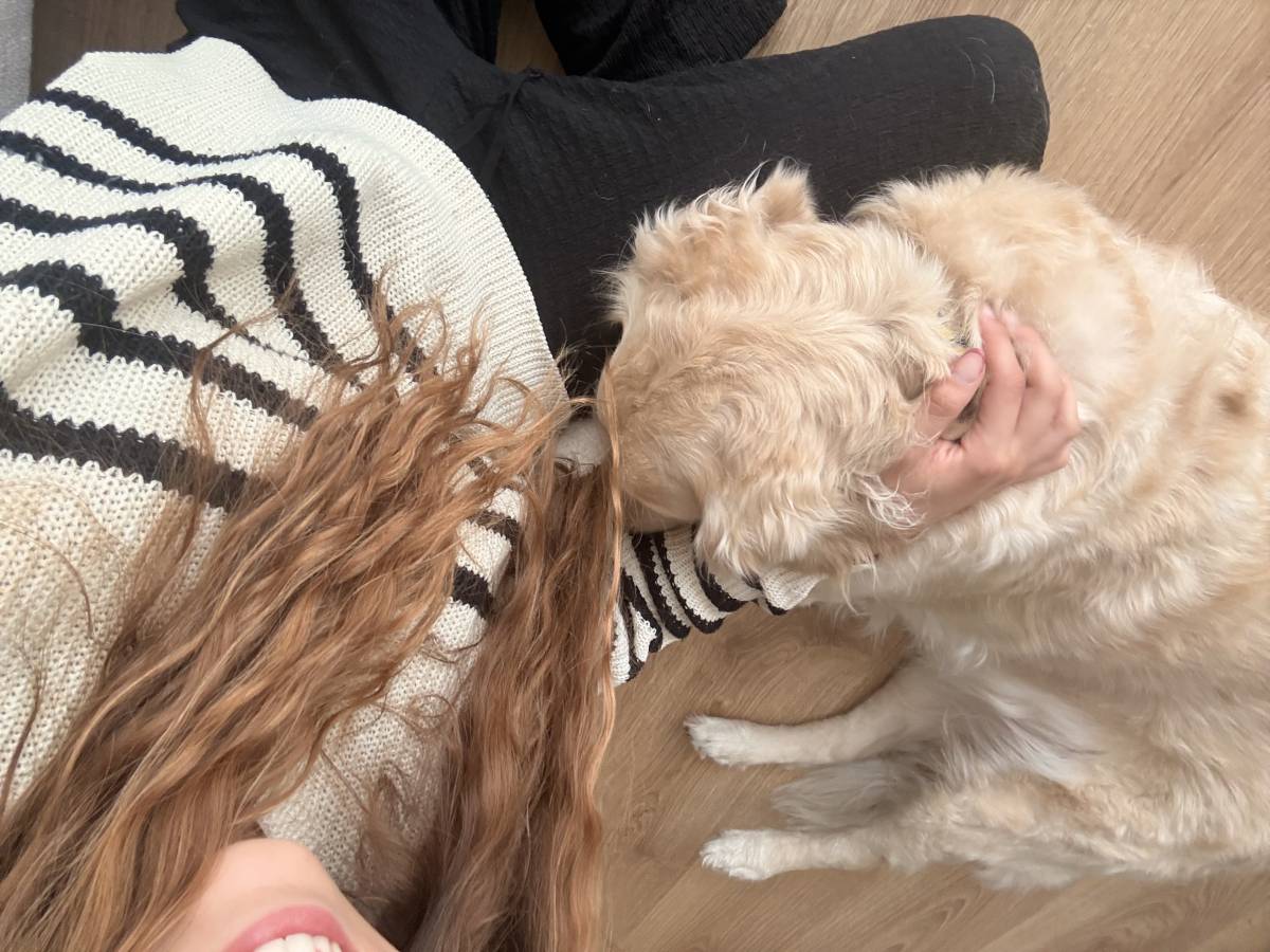 Rafaela.petsitter - Vila Franca de Xira - Hundetagesstätte (Hundesitter)