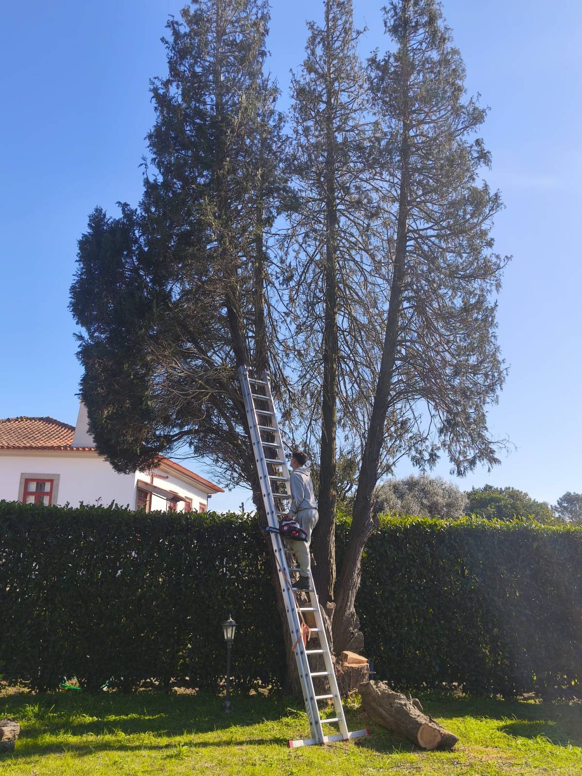 Rui - Vila do Conde - Gartenarbeiten