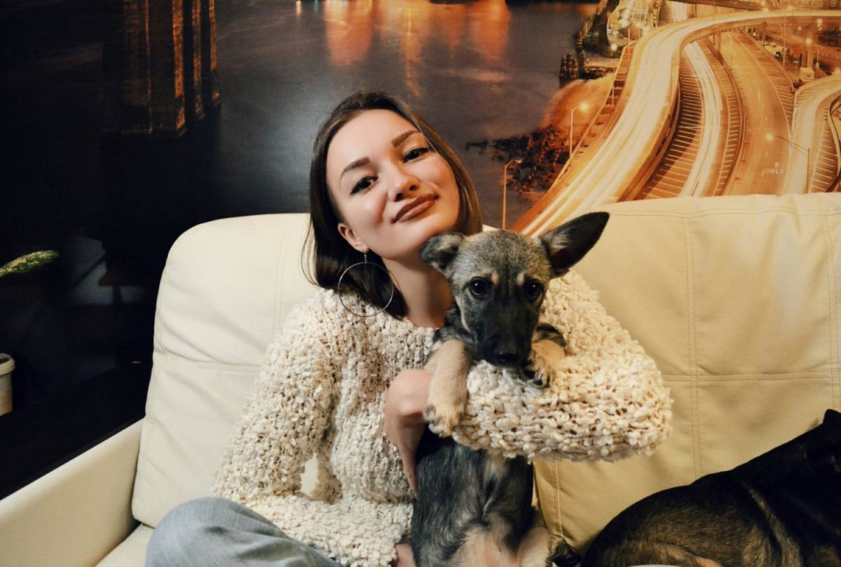Polina Love Dogs - Porto - Cuidados para Animais de Estimação