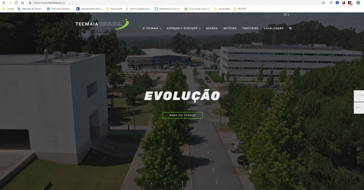 Ricardo Coelho - Vila Nova de Gaia - Web Development