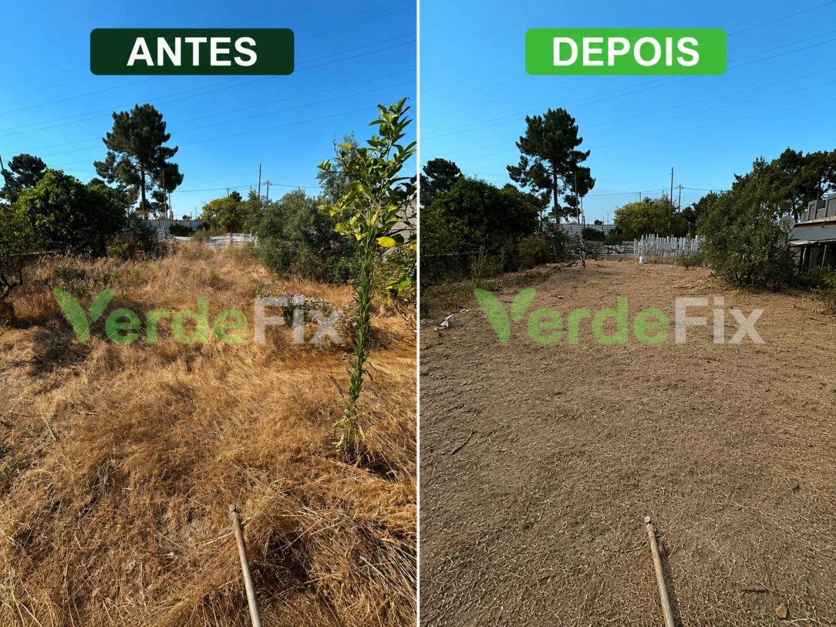 VerdeFix - Seixal - Baumpflege