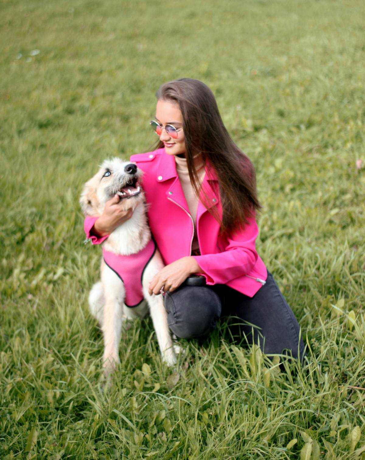 Polina Love Dogs - Porto - Banhos e Tosquias para Animais