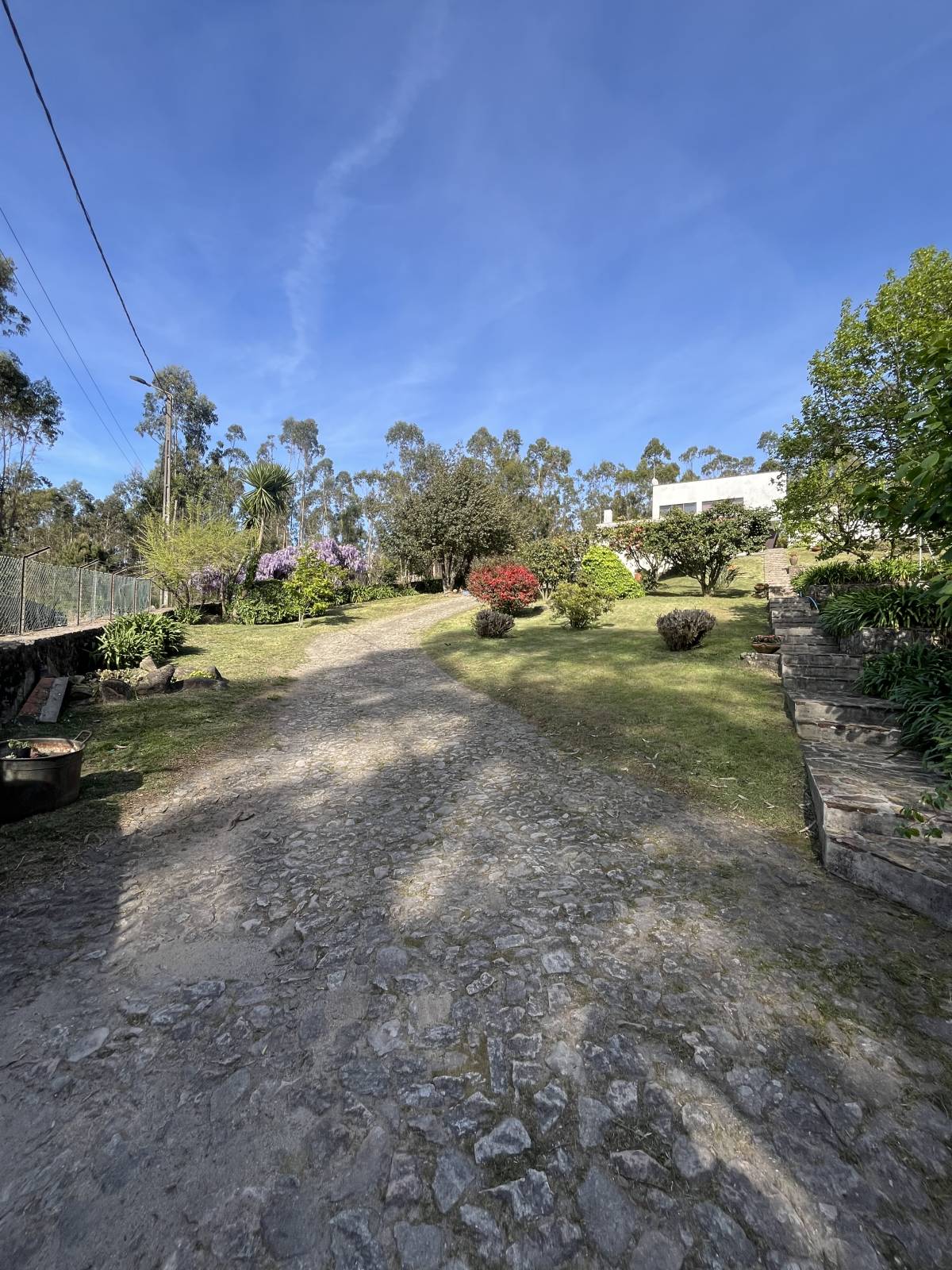 Rui - Vila do Conde - Gartenarbeit