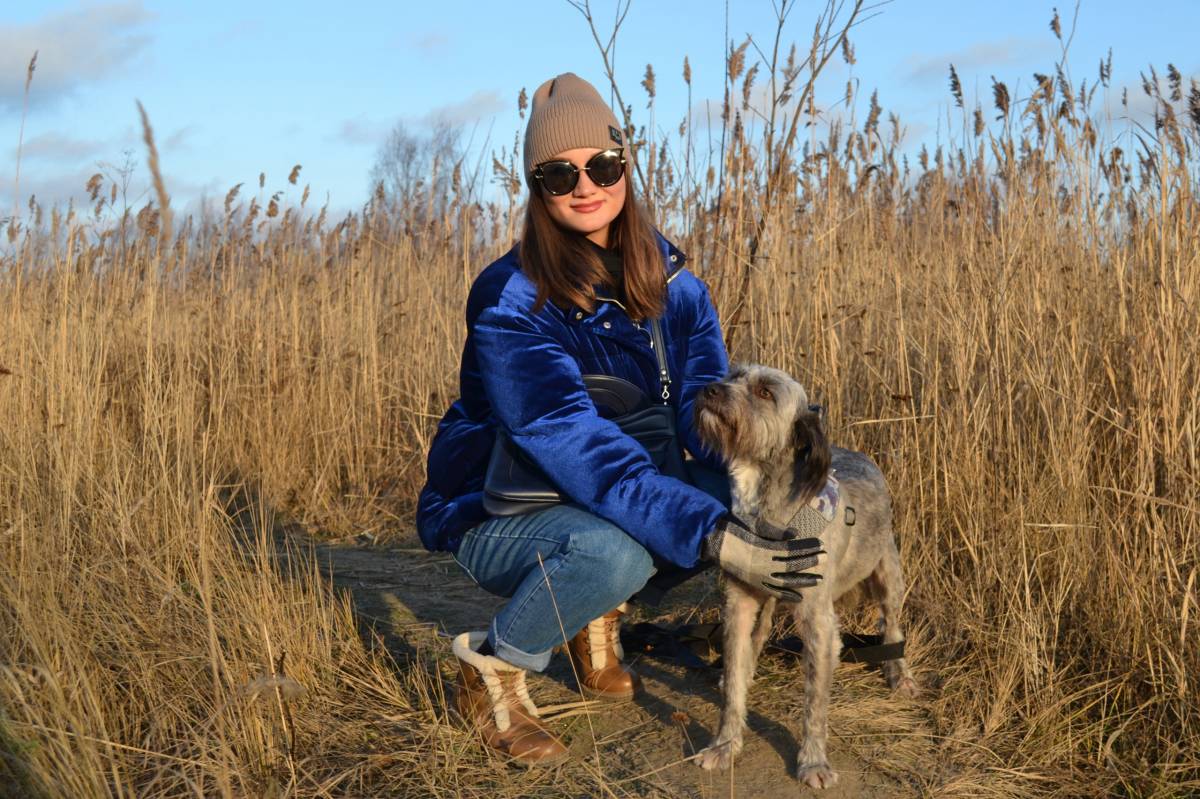 Polina Love Dogs - Porto - Hotel para Cães