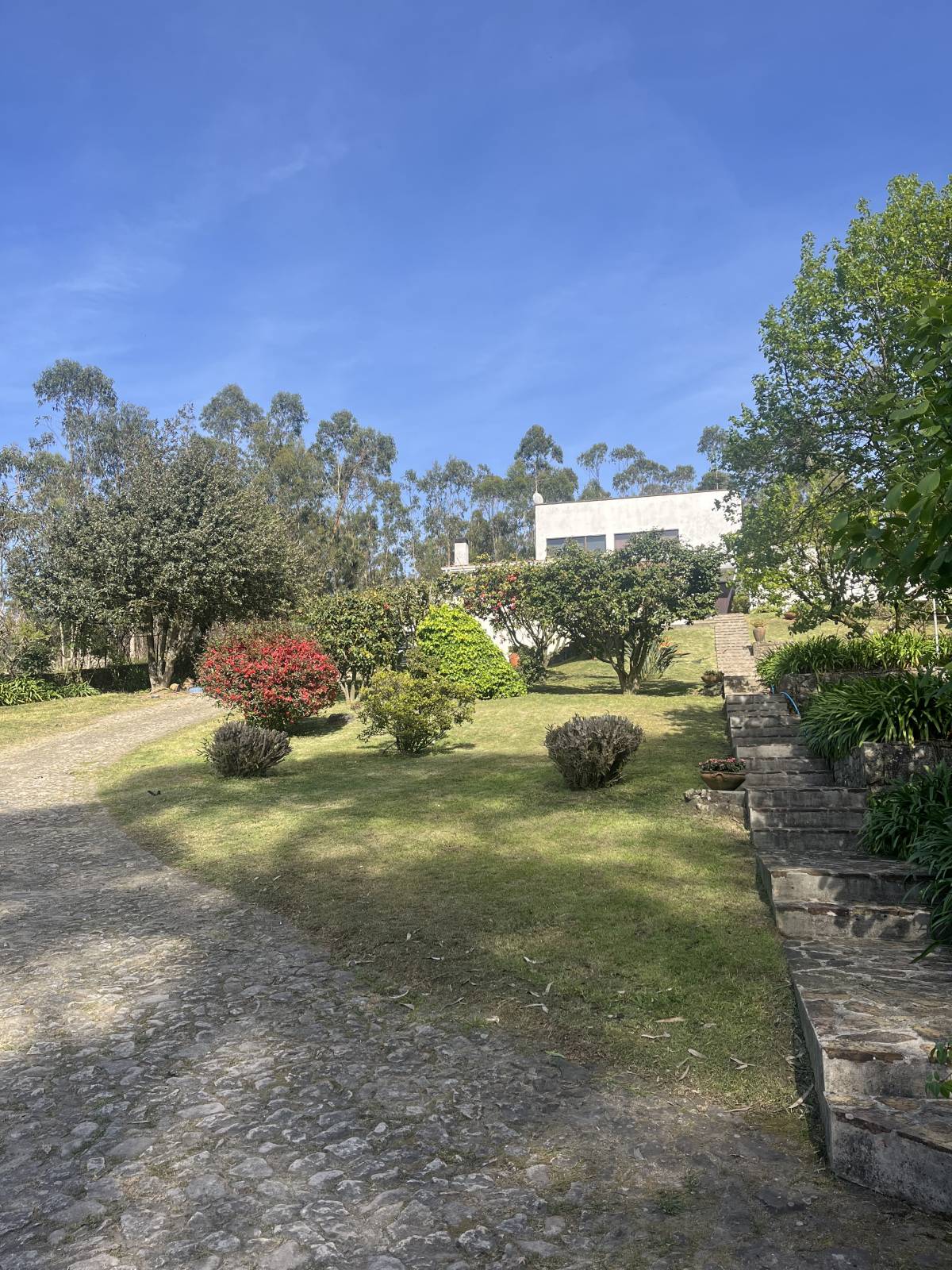 Rui - Vila do Conde - Rasenmähen und Schneiden (einmalig)