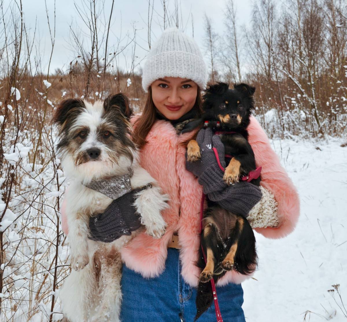 Polina Love Dogs - Porto - Creche para Cães