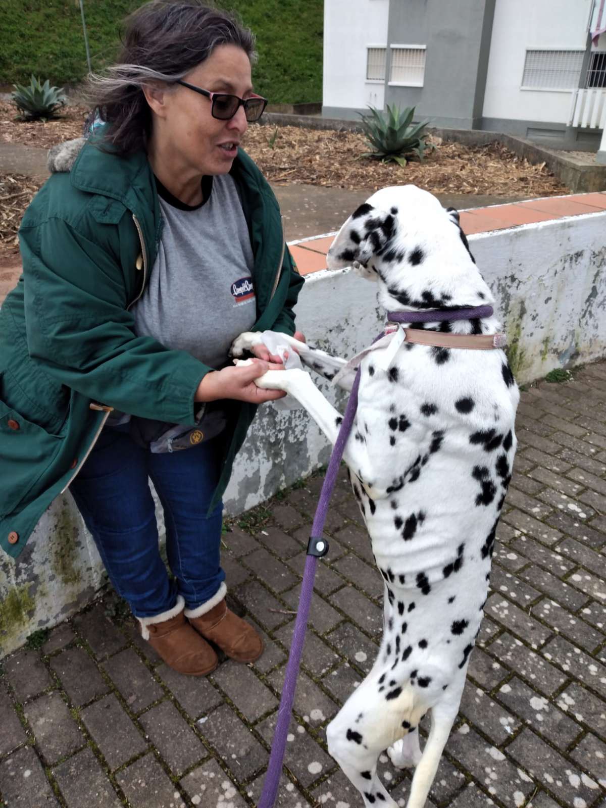 All for pets Tudo pelos donos - Lisboa - Hotel de Animais de Estimação