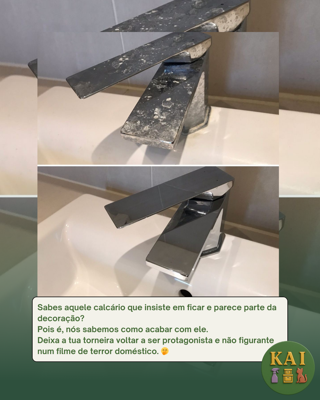 KAI - limpezas • organização de ambientes • pet sitting - Torres Novas - Gebäudereinigung