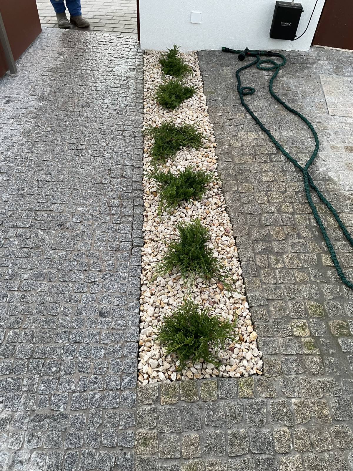 Filipe jardinagem - Trofa - Rasenmähen und Schneiden (einmalig)