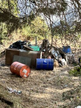 Especialista em Remoção de Lixo e Entulho