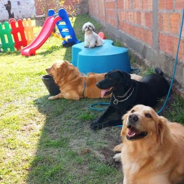 ociOliver - Abrantes - Organização da Casa