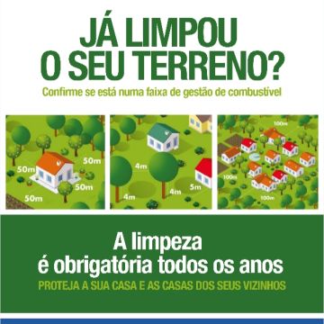 Santos& silva - Aveiro - Tree Trimming and Maintenance
