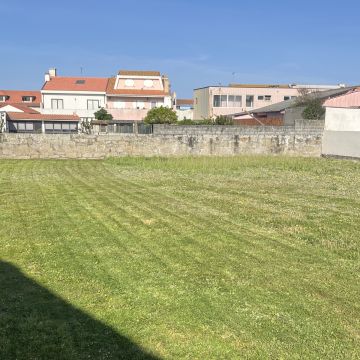 Rui - Vila do Conde - Baumpflanzung